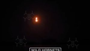Spectacular moment of Shahed falling after interception by STING drones from Wild Hornets. VIDEO