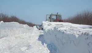 Почтовые операторы предупредили о задержке отправлений из-за снегопада