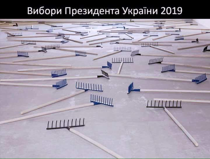 Выборы, выборы...