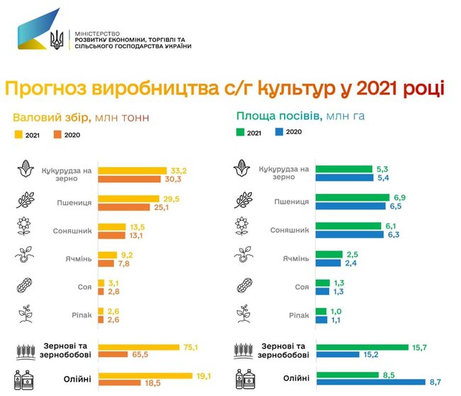 Минэкономики спрогнозировало рекордный урожай зерновых в 2021 году 01