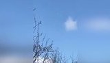 uykju7y