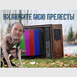 Властелин ватных экранов