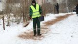 Дорожки во Львове посыпают от гололеда кофейной гущей. ФОТОрепортаж