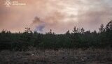 пожежа на Лиманщині