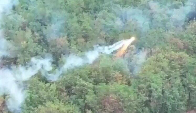 Fire drone burns occupiers’ positions in Kharkiv region. VIDEO