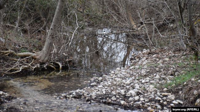 Благодаря осадкам вода появилась в двух из четырех рек под оккупированным Севастополем 02