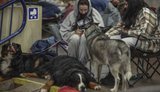 Почти 40 тыс. человек этой ночью укрывались от обстрелов в киевском метро