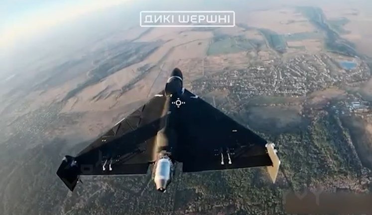 "Дикі Шершні" продемонстрували бойову роботу проти реактивних БпЛА. ВIДЕО