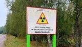 На Житомирщині викрили вирощування зерна на радіоактивних землях