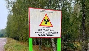 На Житомирщині викрили вирощування зерна на радіоактивних землях. ФОТО