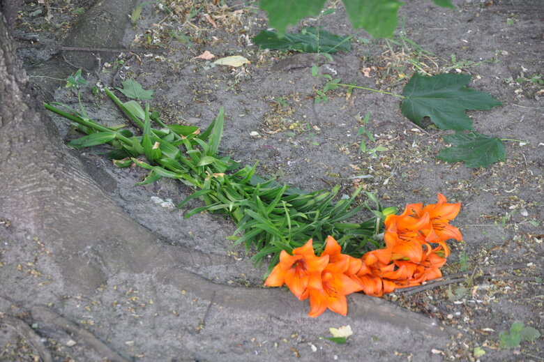 Consequences of shelling in Desnyansky district of Kyiv 34