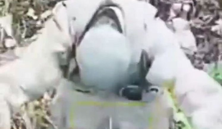 Росіянин зняв бронежилет, підняв руки й поклонами попросив український дрон узяти його в полон. ВIДЕО