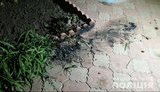 На Одесчине кандидату на пост главы ОТГ бросили во двор "коктейли Молотова", - полиция. ФОТО