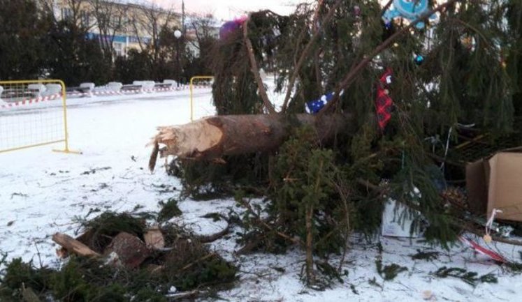 Среди бела дня на людной площади Переяслава-Хмельницкого упала главная елка. ФОТО