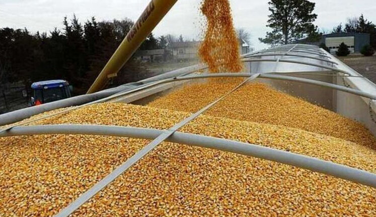 After Russian shelling of Odesa, development of "plan B" for export of Ukrainian grain began, - head of USAID Power