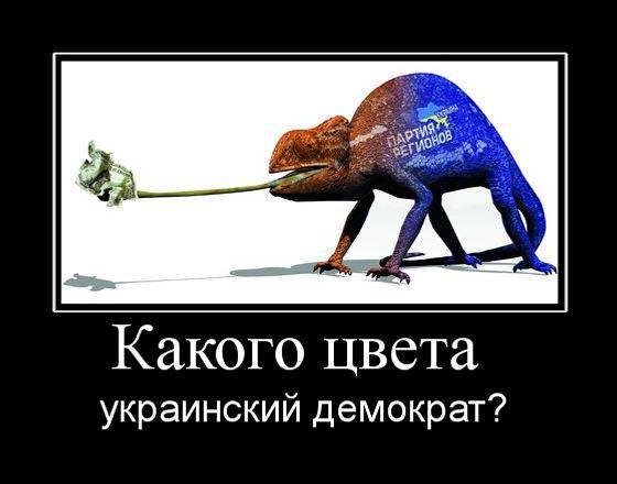Какого цвета украинский демократ?