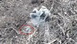 дрон,окупант,знищення