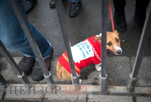 Its just beginning, - National Dignity March took place in Kyiv 27
