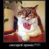 Станислав М #401067