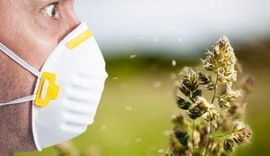 Пыльца растений может способствовать распространению коронавируса, - исследование