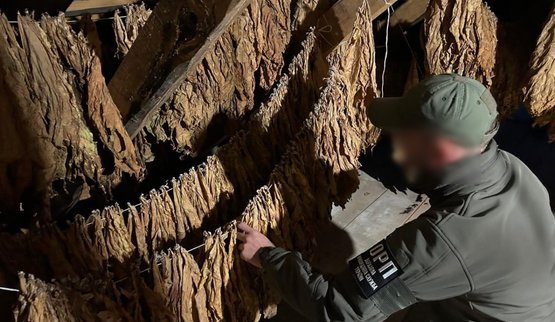 На Волині викрили підпільну тютюнову фабрику