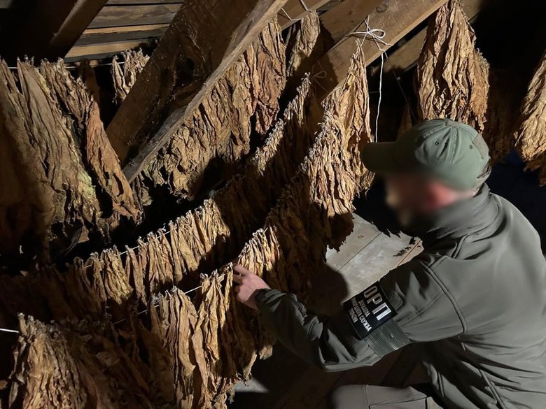 масштабный табачный бизнес