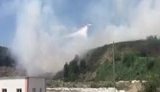 самолет,грибовичи
