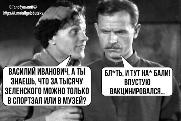 Утром деньги, вечером вакцинация. Вовина тысяча в ФОТОжабах 09
