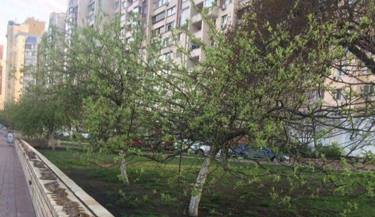 Лавочки і парапети Оболонської набережної в Києві вимазали солідолом для захисту від галасливих компаній. ФОТО