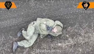 In Novopavlivka direction, Russian soldier begs for mercy in vain from Ukrainian drone operator. VIDEO