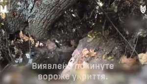 Група ССО зайшла в тил до ворога на Північно-Слобожанському напрямку, зблизька знищила окупантів та захопила їхні документи. ВIДЕО