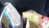 каннабис