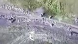 полонені