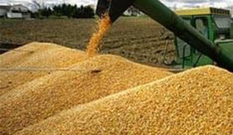 Аграрии за март получили дотации в размере почти 242 миллиона