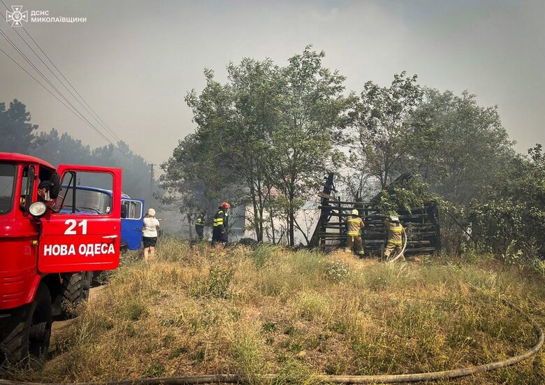 На Миколаївщині виникла пожежа в Андріївському урочищі