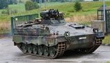 marder