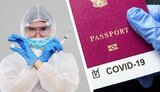 Рада відмовилась посилити відповідальність за використання підробних сертифікатів вакцинації