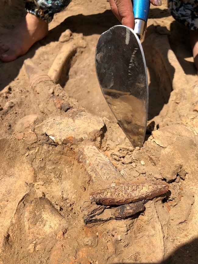 Археологи знайшли нерозграбоване поховання скіфського воїна віком близько 2,5 тисячі років 02