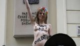 Украинка разделась перед чешским парламентом ради политического убежища. ФОТОрепортаж