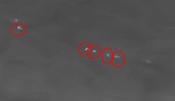 Дрон-вампир уничтожает российских штурмовиков