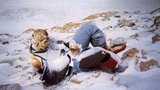 "Тут уж каждый за себя, лишь бы выжить": кладбище на Эвересте. ФОТОрепортаж