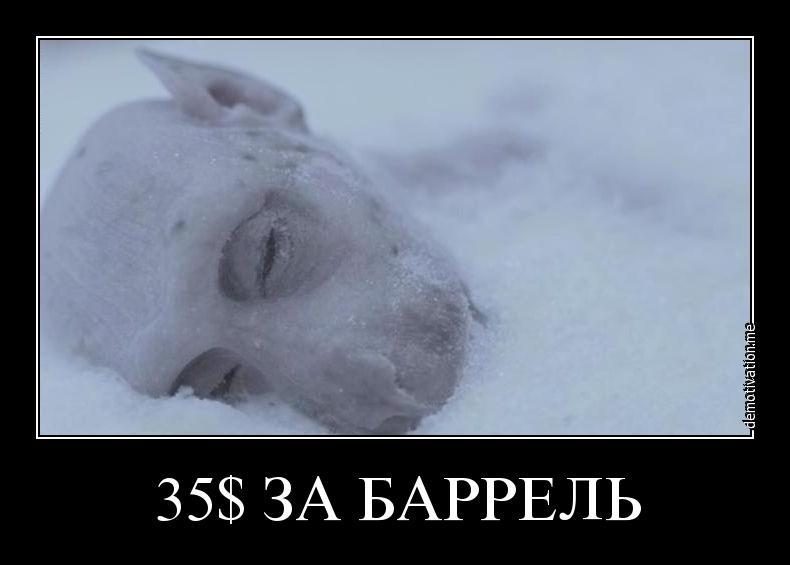 Ждем!