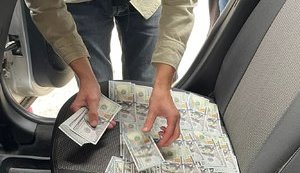 СБУ обнаружила масштабную схему незаконного экспорта леса