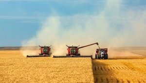 В українському АПК реалізують 474 інвестиційні проекти на 41 млрд грн