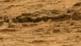 Новая загадка "Красной планеты": Curiosity нашел на Марсе окаменелый скелет животного. ВИДЕО