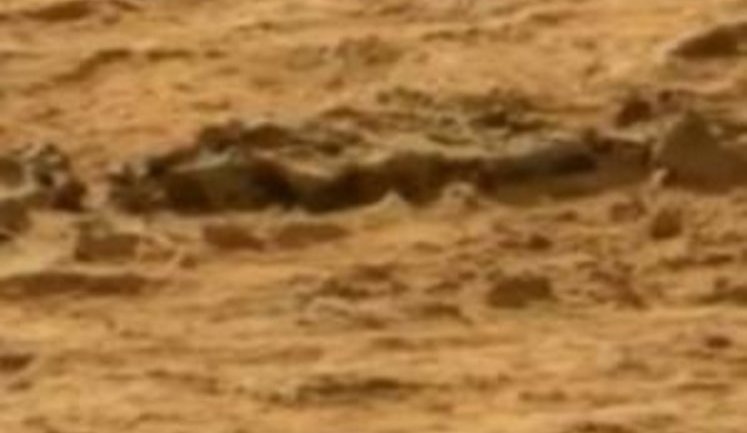 Новая загадка "Красной планеты": Curiosity нашел на Марсе окаменелый скелет животного. ВИДЕО