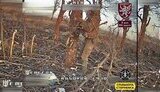 війна