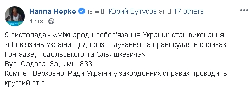 Комітет ВР розгляне виконання Україною міжнародних зобовязань щодо розслідування справи Гонгадзе, - Гопко 01