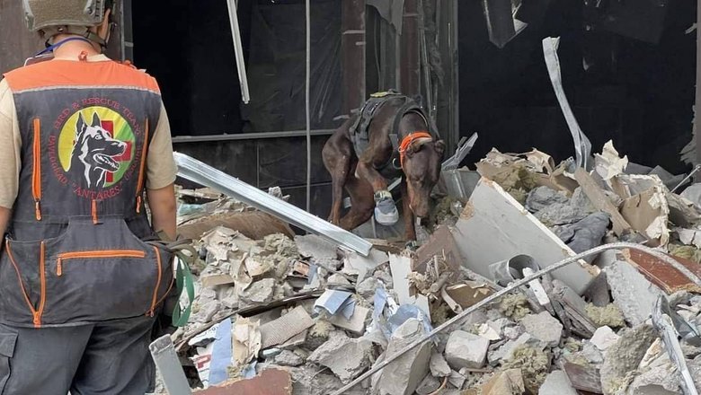 Пішла з життя собака-рятувальниця Ханна, яка врятувала понад 170 людей