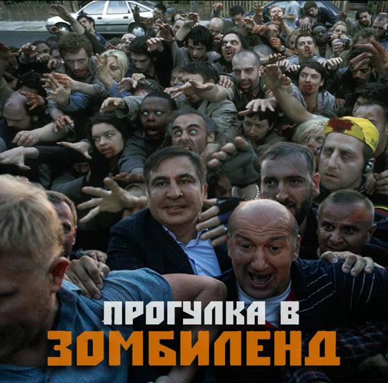 Сбрось Мишу с поезда! Прорыв границы Саакашвили в ФОТОжабах. 04